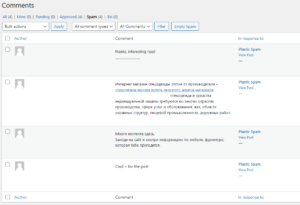 List of spam comments in the admin area.